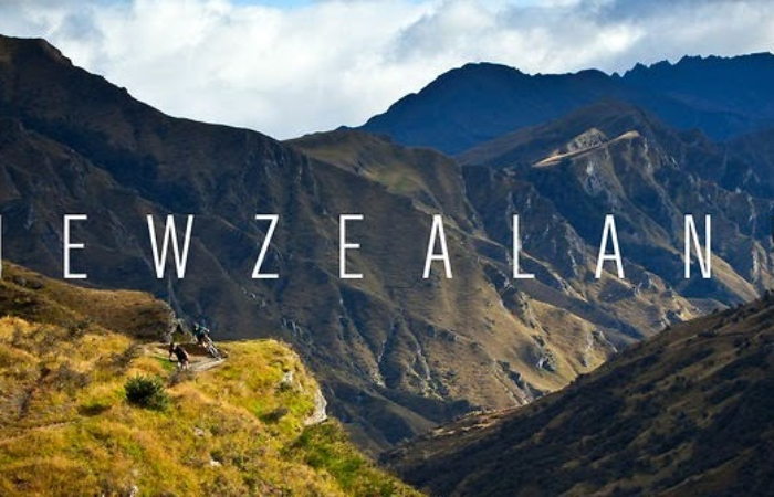Виноделие Новой Зеландии: сорта и классификация