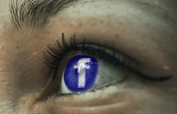 Користувачі Facebook в Германії готові платити за приватність даних