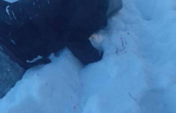 СБУ поділились унікальними фото та відео з місця ліквідації зрадника Ківи
