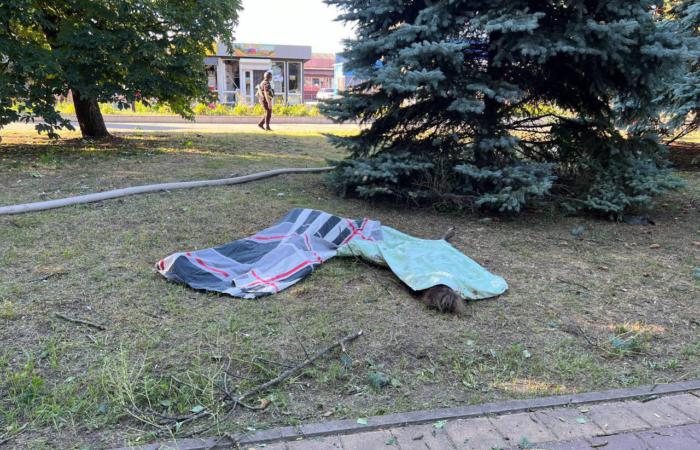 Російські загарбники вдарили по міському парку у Вільнянську, Запорізька область.