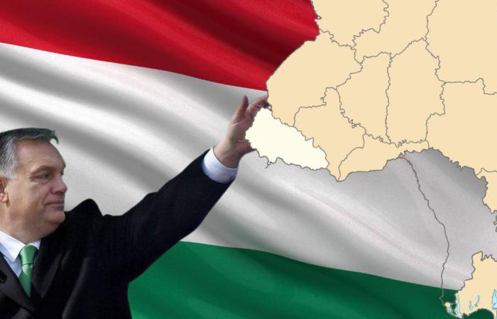 На Закарпатті функціонує Партія угорців які бажають від'єднати Закарпаття від України