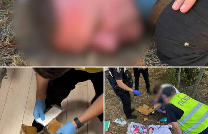 👮‍♀️ Кокаїн з Гондурасу на 8 мільйонів щомісяця: Нацполіція викрила міжнародну наркогрупу