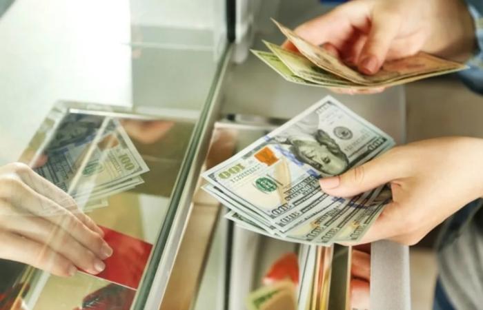 ❗️Колишні банкіри організували масштабну схему відмивання коштів через нелегальні обмінники