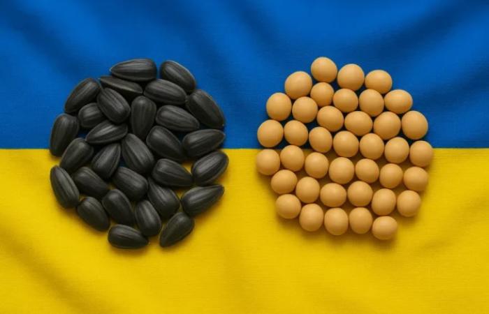 💰 Парламент ухвалив 10% мито на експорт сої та ріпаку: новий податок чи корупційна рента?