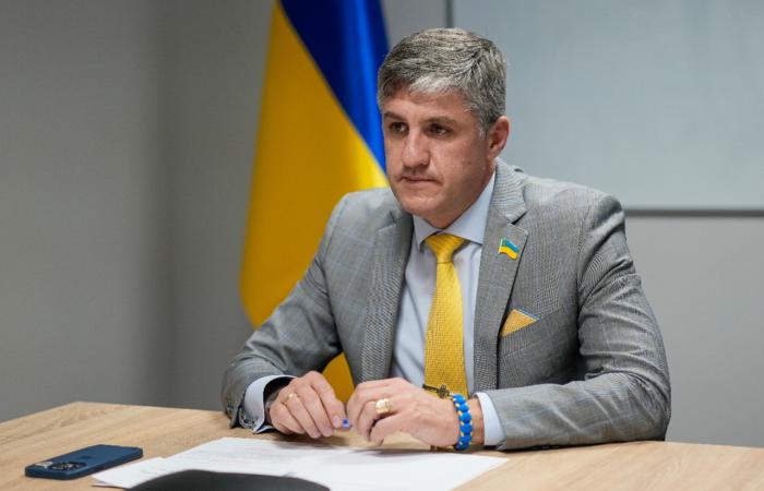 Дружина нового посла України в ОАЕ задекларувала квартиру в Дубаї за понад 13 млн грн