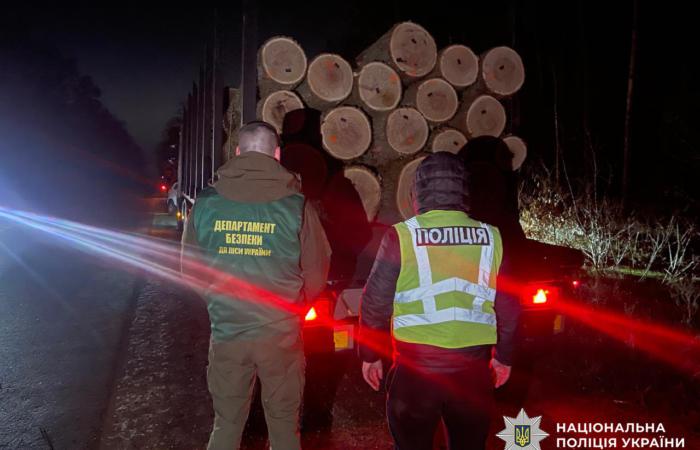 🔴 Кіберполіція викрила масштабну злочинну схему тіньового продажу деревини: затримано організатора і трьох спільників