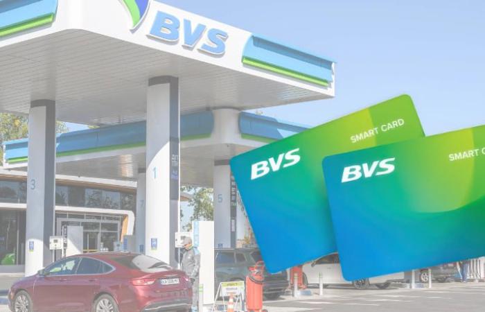 🛢️ Полтавська паливна мафія: як BVS монополізувала ринок, отримала майже 2 млрд з бюджету і знайшла “дах” у силовиків