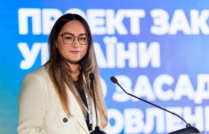 🚨 Скандал у Міненерго: Заступниця міністра задекларувала TESLA за... 10 тисяч гривень!