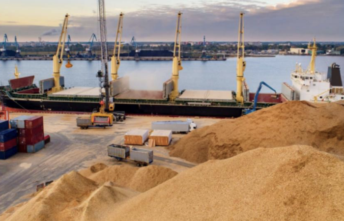 Зернова схема з “турецьким слідом”: з України вивезли продукції на 264 млн грн, а в документах показали лише п’яту частину