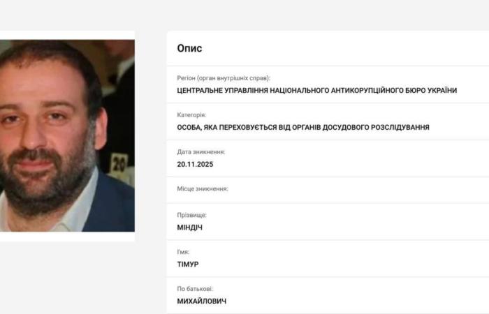 Співвласника «Кварталу 95» Тімура Міндіча та Олександра Цукермана оголошено у міжнародний розшук