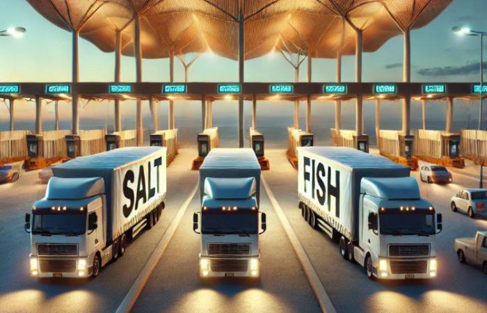 🚨 Контрабанда на «Ягодині»: «Мертві зони» для фур та «м'ясо-рибна карусель» клану митника Хурсяка