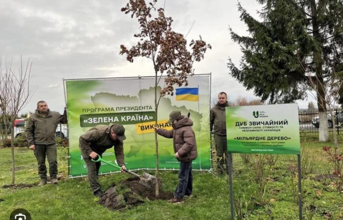 Пікапи для лісників та мультики за 5 мільйонів. Куди йдуть