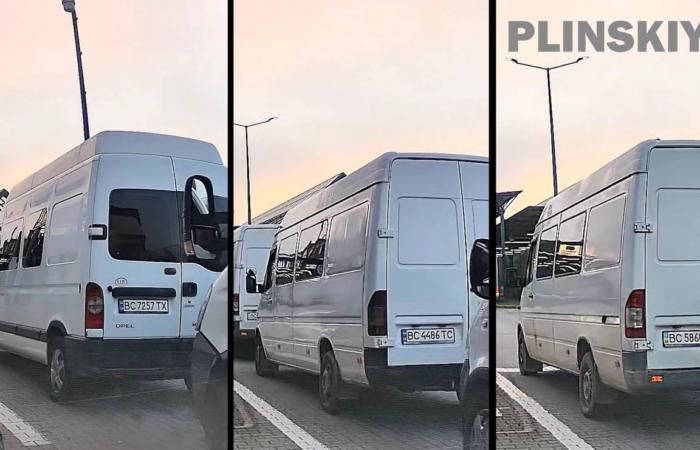 Контрабандна карусель на «Смільниці»: чому ДМСУ саботує розслідування