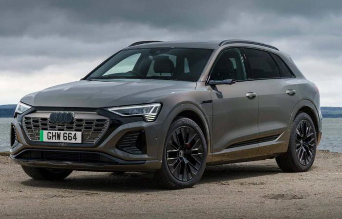 Митник Сергій Писко, який оцінює вартість товарів, купив Audi e-tron за ціною старих 