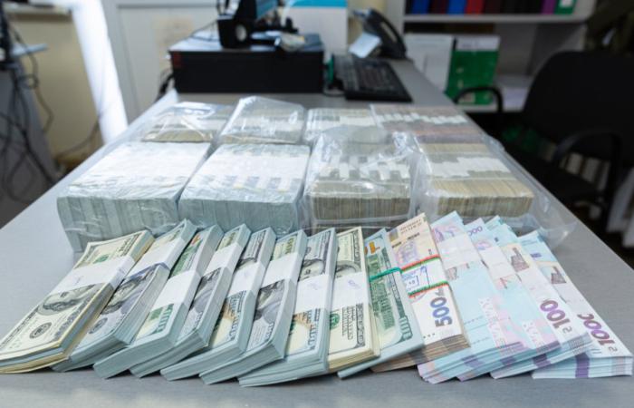 Як екснардеп Логвинський вивів 54 мільйони через Страсбург