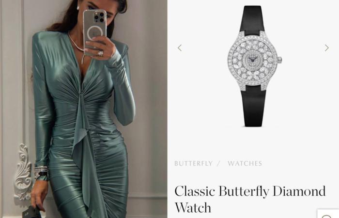 💎⌚️ Годинники за ціною елітних квартир: невістка нардепа Петьовки хизується колекцією на €600 000
