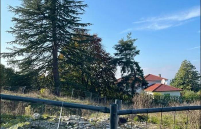 Азербайджанський нафтовий хаб Кремля: як Тагір Гараєв та Етібар Ейюб зачищають сліди Coral Energy