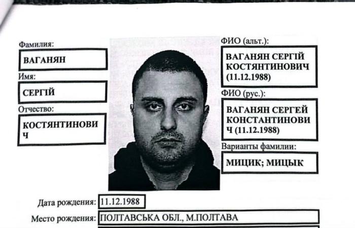 Туман корупції. Історія Ваганяна/Мицика.