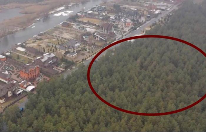 Мати депутата Краснова отримала 90 соток елітної землі від облдержадміністрації