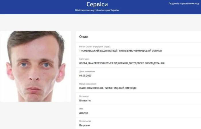 Депутата Загвіздянської сільради екстрадували з Чехії після року переховування від слідства за розкрадання 2,5 мільйона гривень