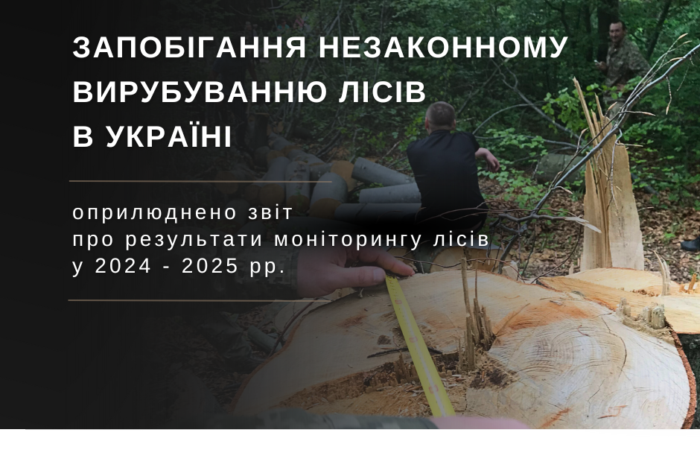 Результати моніторингу лісів Карпатського регіону: понад 2700 змін лісового покриву та незаконні рубки на суму майже 7 млн грн.