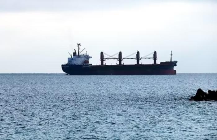 Радник голови федерації дзюдо торгує російською нафтою і зерном