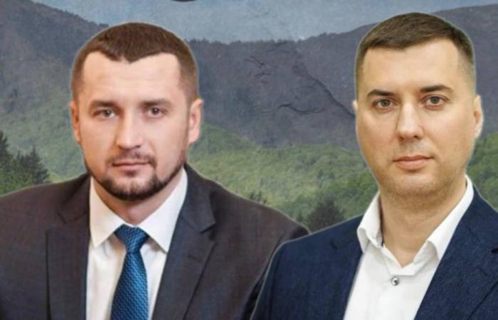 Посередник без складів та техніки: роль ТОВ «ТЕД» у системному розкраданні бюджетних грошей на закупівлях деревини