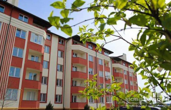 Заступниця начальника управління ДПС оформлює мільйонне майно на безробітного чоловіка-іноземця