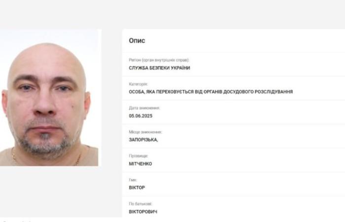 Фіктивні сонячні станції на окупованих землях і 141 мільйон: ВАКС заарештував ексдиректора «Запоріжжяобленерго» у справі Шурми