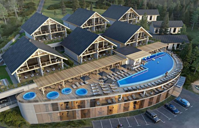 Митниця, Буковель і 8 мільйонів: що приховує декларація Катерини Гунько