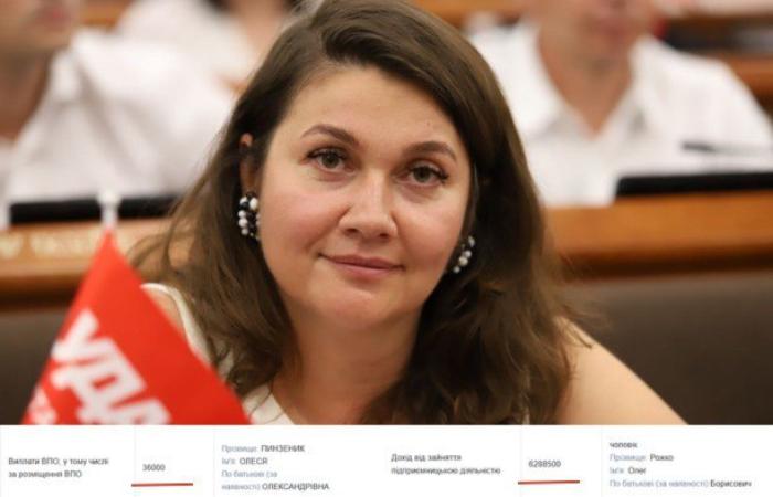 Депутатка Київради від «УДАРу» з Volvo, 21 га землі і $157 000 готівкою отримала у 2025 році 36 000 грн як ВПО