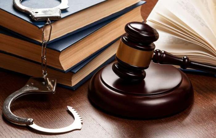 Бізнесмен із Tesla і 20 тисячами євро їхав до Німеччини з підробленими довідками ВЛК — суд дав два роки умовно