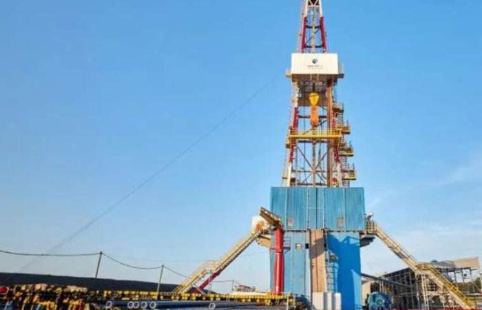 Тимур Тургунов та 