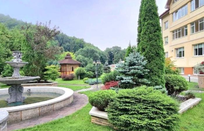 Михайло Рябець продає збитковий готель на Закарпатті за ціною в п'ять разів нижчою за ринкову