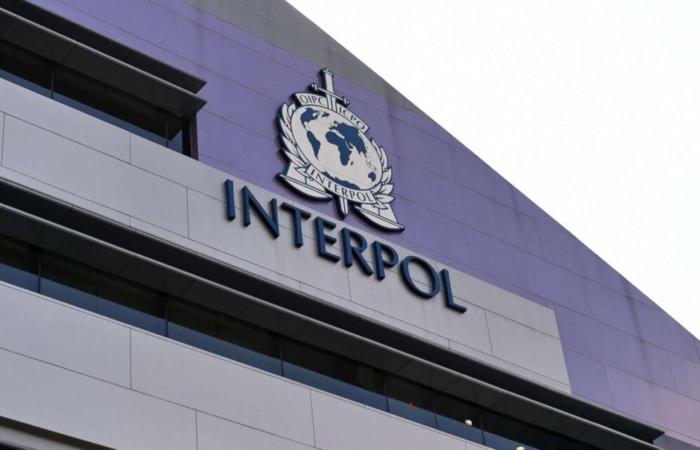 Двоє посадовців-крадіїв з українських банків ховалися в Європі — обох наздогнав Інтерпол
