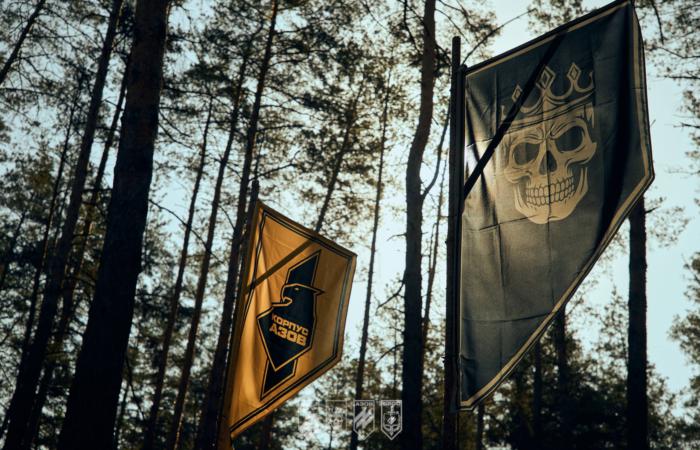 Бойові вакансії в бригаді «Любарт»: які спеціалісти потрібні сучасному війську