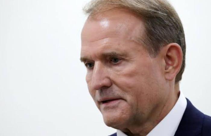 Кінець лісової імперії: у фірм Медведчука відібрали чергові 10 гектарів під Києвом