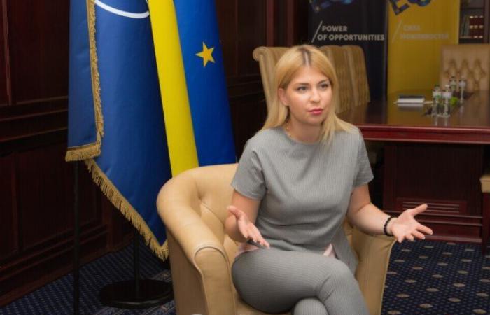 Зручна доброчесність: чому питання у справі Стефанішиної мають бути не до неї, а до системи