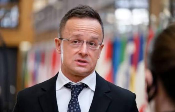 Петер Сійярто пішов із парламенту Угорщини в китайську BYD - прем'єр Мадьяр назвав це службою Компартії Китаю