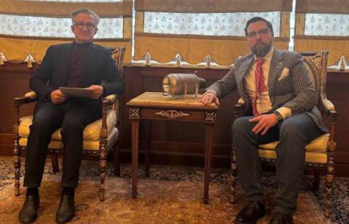 Свято для «чорних археологів»: Тарута та Потураев просувають легалізацію грабіжницьких розкопок під виглядом амністії колекцій