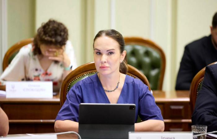 Ірина Мудра контролювала кожен етап схеми з мішками готівки для застави Галущенка