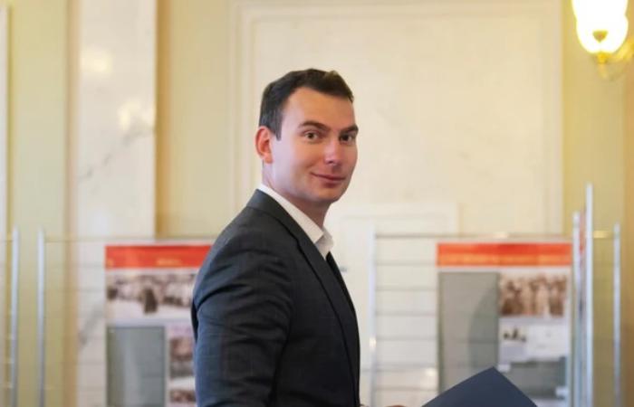 Ярослав Железняк зливав компромат у справі МіндічГейту в інтересах Ірини Мудрої