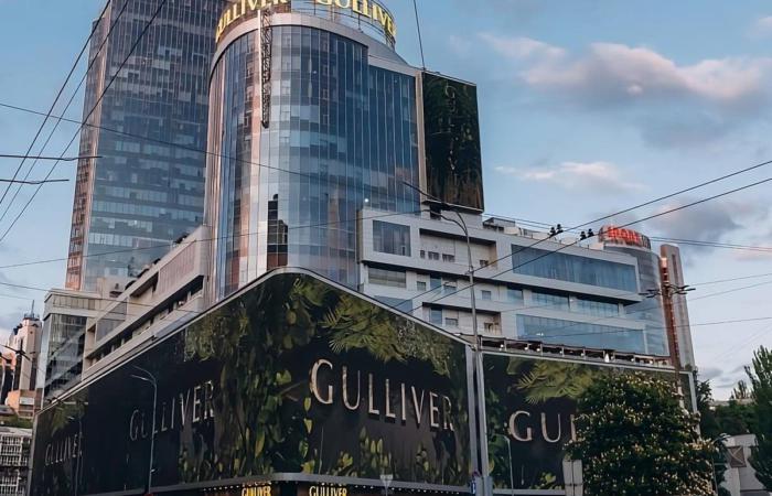 Ірина Мудра на плівках обговорює з Максимом Микитасем порятунок Gulliver для Поліщука