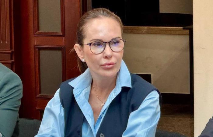 Підозра НАБУ та САП на 150 мільйонів: захист Мудрої у суді заявив про процесуальні неузгодженості слідства