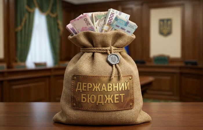 Субвенції, забудовники та голосування: як заступниця бюджетного комітету поєднує столицю та держвидатки