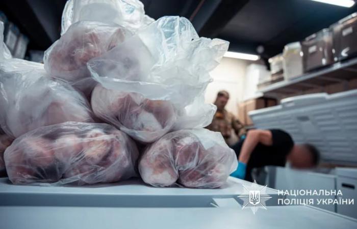 Справа патологоанатомів у Чернівцях: як готівку за анатомічні матеріали передавали через валютні обмінники «Кит Груп»
