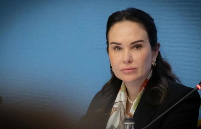 Ірина Мудра на записах НАБУ обговорювала заміну Клименка в САП на Цивінського