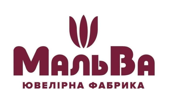 ТМ «Мальва» під прицілом БЕБ: як вінницька ювелірна фабрика ховала прибутки за мережею ФОПів