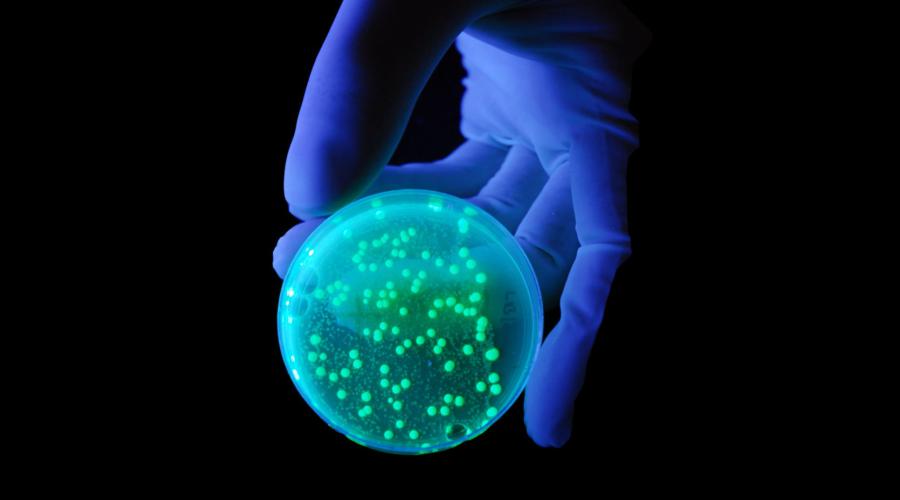 Биологическое действие ультрафиолета | SPILNO